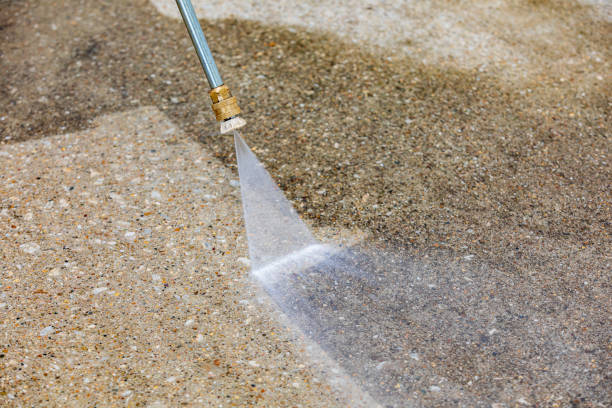 Best Roof Washing  in Fox Island, WA
